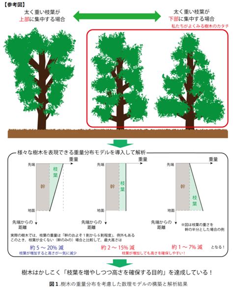 樹木生長